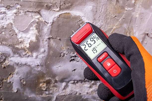 Best Home Mold Removal  in Hubbard, OR