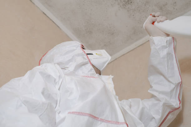 Best Emergency Mold Removal  in Hubbard, OR