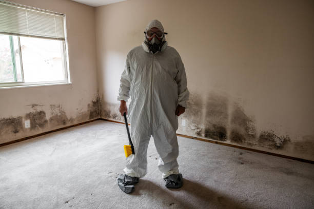 Best Crawl Space Mold Removal  in Hubbard, OR